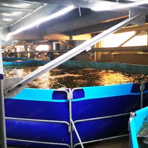 Yopiq ochiq baliq tanki plastik